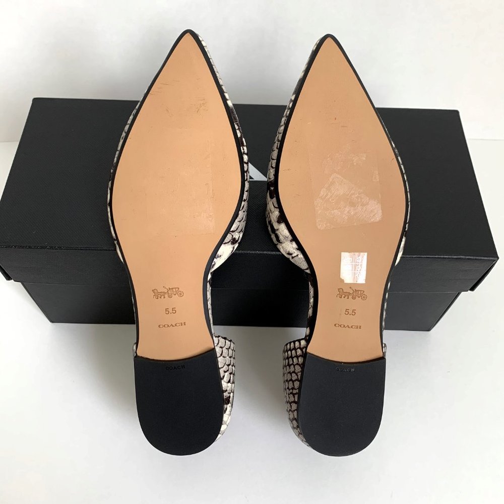 ❌SOLD- COACH Printed Exotic Pointy Toe Flat 5.5 - Picture 11 of 11